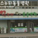 메이동물메디컬센터 이미지