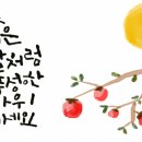 바로본안경(화성점) 이미지