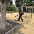 대일초등학교 이미지