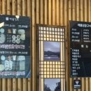 청주_해물상회 오송점(오송 맛집)