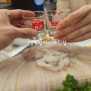 일품참가자미회 | [부산 연산동 횟집] 감포참가자미횟집, 길게 썰어 식감 폭발하는 참가자미회 후기