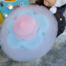 개어비앤비 이미지