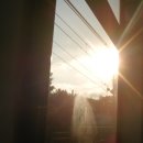 사람이랑 흙이랑 이미지