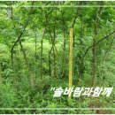 그루터기 이미지
