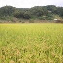 영화속풍경민박 이미지