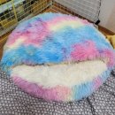 추운 겨울철 쓰기좋은 에이치제이몰 고양이 숨숨집 &lt;따숨집&gt; 후기