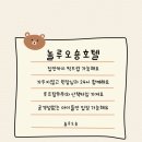 놀루오숑 이미지