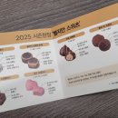 드네지 이미지