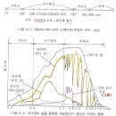 ★4.햇빛과 광합성_음지의 생존 이미지