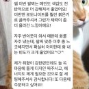 단골분의 락슈미 에뮬렛 (후기 포함)