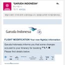 비즈니스로 | 발리 직항 가루다항공 항공권 대한항공 비즈니스로 엔도스 신청한 후기(확인사항, 신청방법)