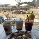 관음사입구 | 제주 한라산 관음사 입구 대형 신상 카페 스프레무따