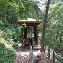 석산약바람산촌생태마을 이미지