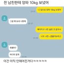 전 남친한테 양파 10kg 보냈어 이미지