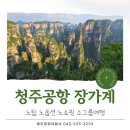 예주항공여행사 이미지