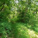 원주굽이길 원1코스 100고개길 이미지