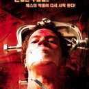 아나토미
