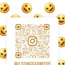 일송농장 이미지