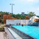 스트란트(THE STRAND) 이미지