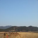때밭