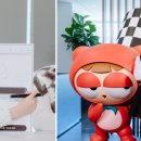블랙핑크라인