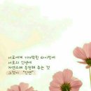 다온심리상담센터 이미지