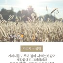 예수님께서 알려주신 이단분별법/가라지와 알곡/하나님의교회① 이미지