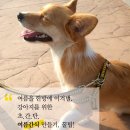 놀자