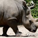 FITNESS인 이미지