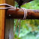 달천계곡 오토캠핑장 이미지