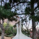 사유에 의한 유출 이미지