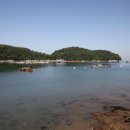 산양초풍화분교 이미지