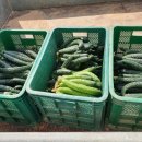 금옥농장 이미지