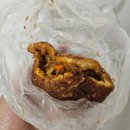 나홀로 대전 당일치기 여행