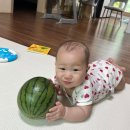 [6개월 209일~7개월 220일] 이사와 육아, 내집마련 성공! 혼돈의 카오스란 이런 것인가