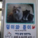 멍이와쿤이 이미지