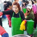 천연염색 Daum카페