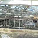 서울숲 생태숲 화장실 이미지