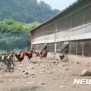 이인준 농장 이미지