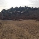 여주-1099 이미지