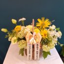 역곡옵티마약국 이미지