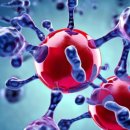 스파이크 짐 이미지