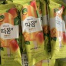 따옴