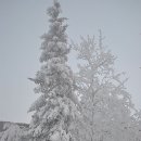 알래스카의 " 겨울풍경" 이미지