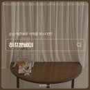 하프문베이 | 애견동반 카페 추천🐶 하프문베이 분위기 맛집 내돈내산 후기