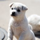 원광대학교 보건·보완의학대학원 이미지