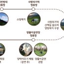 삼양막국수