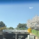 11500-16-04-52 | 7년만에 콘서트!!! 박효신 LIVE A&amp;E 2026 중콘 후기