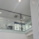 개명동물병원 | 말티즈 강아지 유선종양 편적출 중성화(자궁수종) 서울대학교 동물 병원 수술 후기
