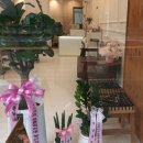 헤어341 이미지
